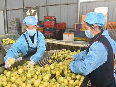 克宫：俄正在发展保障安全的武器系统