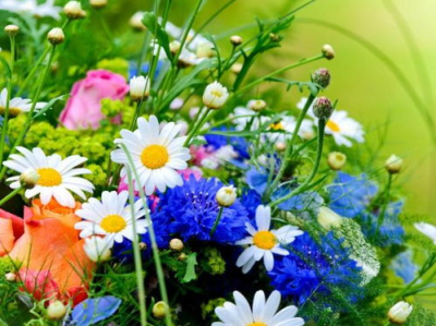 隐匿奢华：家徒四壁背后的财富传奇