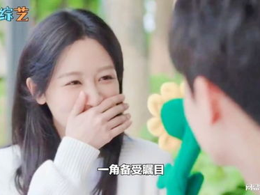 杨紫四部大女主剧待播