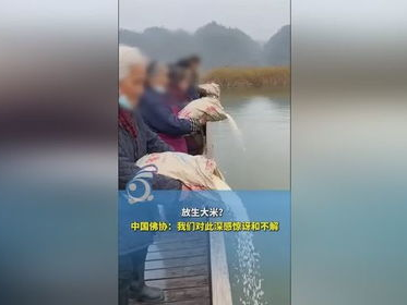 佛协震惊：放生大米背后真相引发热议