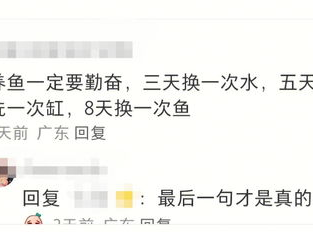 单身朋友情绪受挫，如何帮助他们走出困境