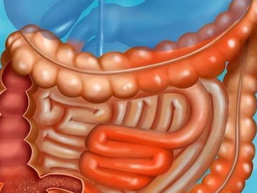 感染甲流腿疼肚子疼？警惕四个前兆